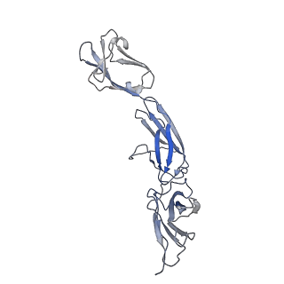 27230_8d7h_G_v1-0
Cryo-EM structure of human CLCF1 in complex with CRLF1 and CNTFR alpha