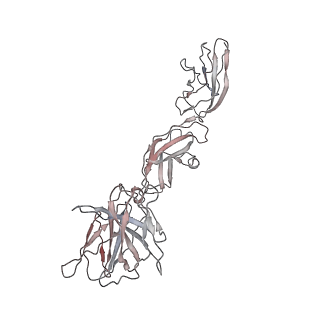 27231_8d7r_A_v1-0
Cryo-EM structure of human CLCF1 signaling complex: model containing the interaction core region