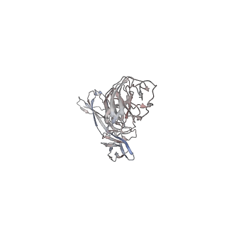 27231_8d7r_B_v1-0
Cryo-EM structure of human CLCF1 signaling complex: model containing the interaction core region