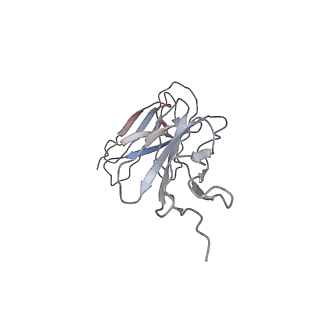 27231_8d7r_C_v1-0
Cryo-EM structure of human CLCF1 signaling complex: model containing the interaction core region