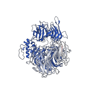 27237_8d7x_A_v1-1
Cereblon~DDB1 in the Apo form with DDB1 in the hinged conformation