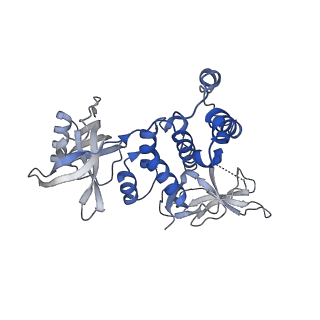 27237_8d7x_B_v1-1
Cereblon~DDB1 in the Apo form with DDB1 in the hinged conformation