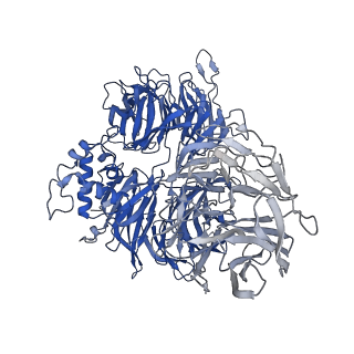 27238_8d7y_A_v1-1
Cereblon-DDB1 in the Apo form with DDB1 in the twisted conformation