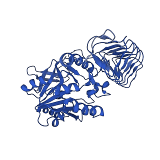 30599_7d72_B_v1-1
Cryo-EM structures of human GMPPA/GMPPB complex bound to GDP-Mannose