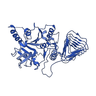 30599_7d72_C_v1-1
Cryo-EM structures of human GMPPA/GMPPB complex bound to GDP-Mannose