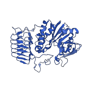30599_7d72_D_v1-1
Cryo-EM structures of human GMPPA/GMPPB complex bound to GDP-Mannose