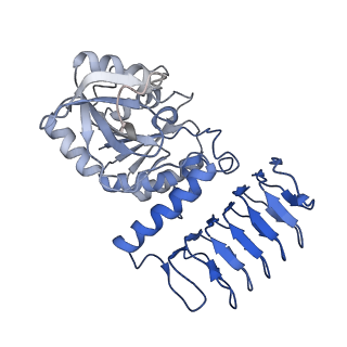 30599_7d72_H_v1-1
Cryo-EM structures of human GMPPA/GMPPB complex bound to GDP-Mannose