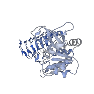 30599_7d72_I_v1-1
Cryo-EM structures of human GMPPA/GMPPB complex bound to GDP-Mannose