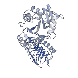 30599_7d72_L_v1-1
Cryo-EM structures of human GMPPA/GMPPB complex bound to GDP-Mannose