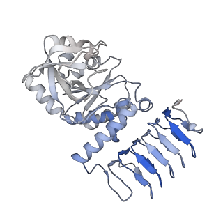 30600_7d73_H_v1-2
Cryo-EM structure of GMPPA/GMPPB complex bound to GTP (State I)