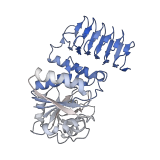 30600_7d73_K_v1-2
Cryo-EM structure of GMPPA/GMPPB complex bound to GTP (State I)