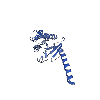 30602_7d76_A_v1-1
Cryo-EM structure of the beclomethasone-bound adhesion receptor GPR97-Go complex