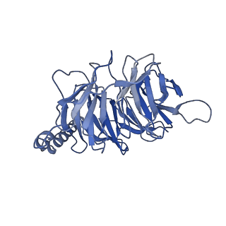 30602_7d76_B_v1-1
Cryo-EM structure of the beclomethasone-bound adhesion receptor GPR97-Go complex
