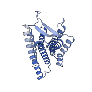 30602_7d76_R_v1-1
Cryo-EM structure of the beclomethasone-bound adhesion receptor GPR97-Go complex