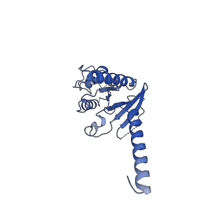 30603_7d77_A_v1-1
Cryo-EM structure of the cortisol-bound adhesion receptor GPR97-Go complex