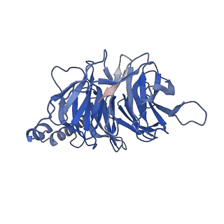 30603_7d77_B_v1-1
Cryo-EM structure of the cortisol-bound adhesion receptor GPR97-Go complex