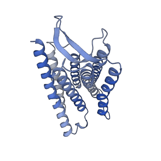 30603_7d77_R_v1-1
Cryo-EM structure of the cortisol-bound adhesion receptor GPR97-Go complex