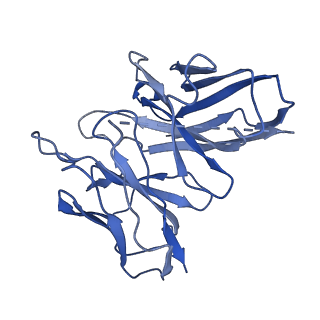 30603_7d77_S_v1-1
Cryo-EM structure of the cortisol-bound adhesion receptor GPR97-Go complex