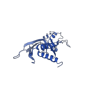 30604_7d7c_A_v1-1
CryoEM structure of gp55-dependent RNA polymerase-promoter open complex