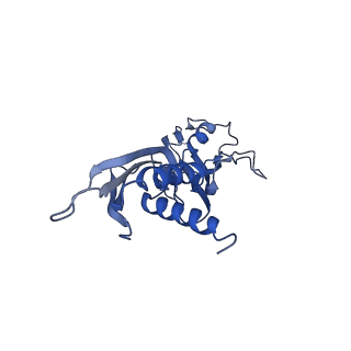 30604_7d7c_A_v1-2
CryoEM structure of gp55-dependent RNA polymerase-promoter open complex