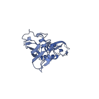 30604_7d7c_B_v1-1
CryoEM structure of gp55-dependent RNA polymerase-promoter open complex
