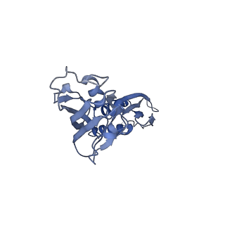 30604_7d7c_B_v1-2
CryoEM structure of gp55-dependent RNA polymerase-promoter open complex