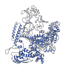 30604_7d7c_D_v1-2
CryoEM structure of gp55-dependent RNA polymerase-promoter open complex