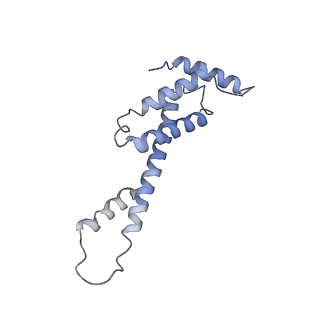30604_7d7c_F_v1-1
CryoEM structure of gp55-dependent RNA polymerase-promoter open complex