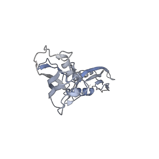 30605_7d7d_B_v1-1
CryoEM structure of gp45-dependent transcription activation complex