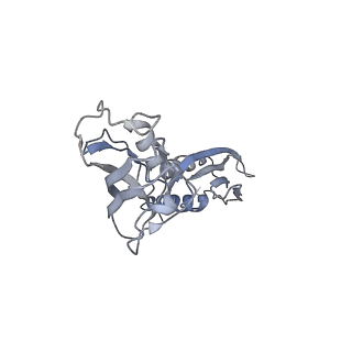 30605_7d7d_B_v1-2
CryoEM structure of gp45-dependent transcription activation complex