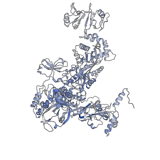 30605_7d7d_C_v1-1
CryoEM structure of gp45-dependent transcription activation complex