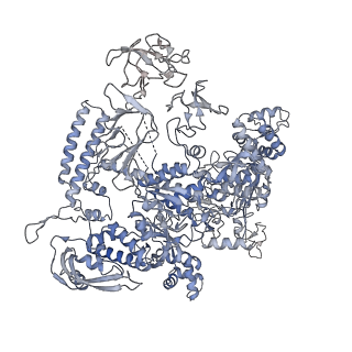 30605_7d7d_D_v1-1
CryoEM structure of gp45-dependent transcription activation complex