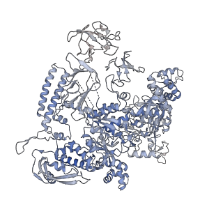 30605_7d7d_D_v1-2
CryoEM structure of gp45-dependent transcription activation complex