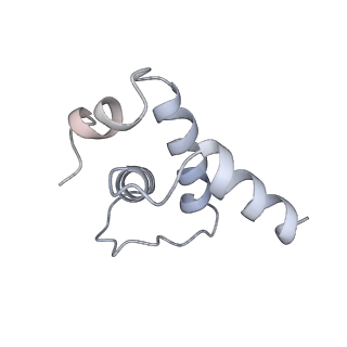 30605_7d7d_E_v1-1
CryoEM structure of gp45-dependent transcription activation complex