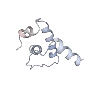 30605_7d7d_E_v1-2
CryoEM structure of gp45-dependent transcription activation complex