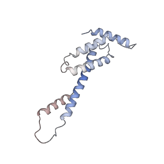 30605_7d7d_F_v1-1
CryoEM structure of gp45-dependent transcription activation complex