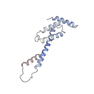 30605_7d7d_F_v1-2
CryoEM structure of gp45-dependent transcription activation complex