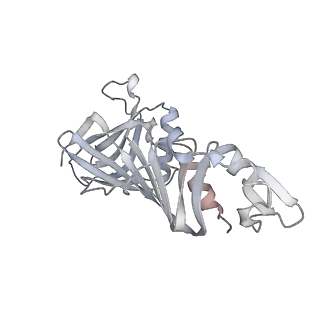 30605_7d7d_G_v1-1
CryoEM structure of gp45-dependent transcription activation complex