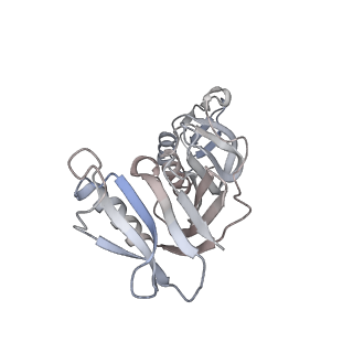 30605_7d7d_I_v1-1
CryoEM structure of gp45-dependent transcription activation complex