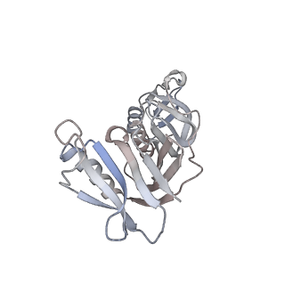 30605_7d7d_I_v1-2
CryoEM structure of gp45-dependent transcription activation complex