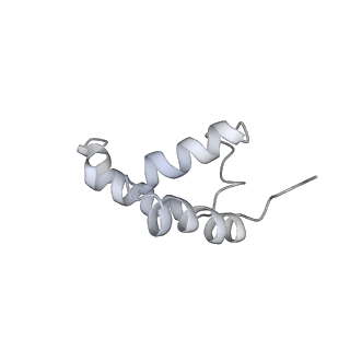 30605_7d7d_K_v1-1
CryoEM structure of gp45-dependent transcription activation complex