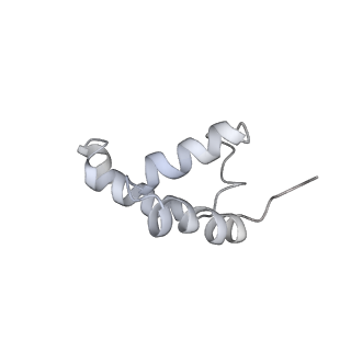 30605_7d7d_K_v1-2
CryoEM structure of gp45-dependent transcription activation complex