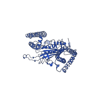 30607_7d7f_B_v1-0
Structure of PKD1L3-CTD/PKD2L1 in calcium-bound state