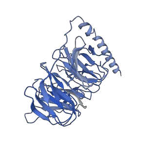 30608_7d7m_B_v1-0
Cryo-EM Structure of the Prostaglandin E Receptor EP4 Coupled to G Protein