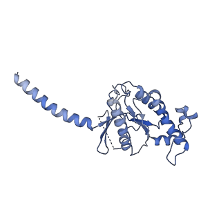 30608_7d7m_D_v2-2
Cryo-EM Structure of the Prostaglandin E Receptor EP4 Coupled to G Protein