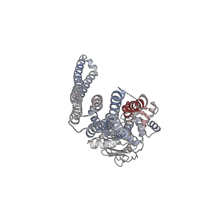 30610_7d7r_A_v1-2
Cryo-EM structure of the core domain of human ABCB6 transporter
