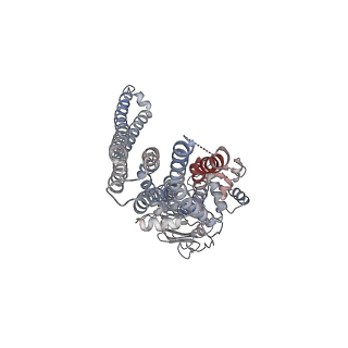 30610_7d7r_A_v1-3
Cryo-EM structure of the core domain of human ABCB6 transporter