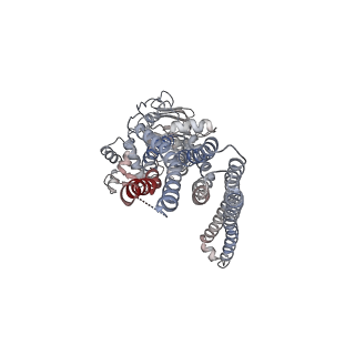 30610_7d7r_B_v1-2
Cryo-EM structure of the core domain of human ABCB6 transporter