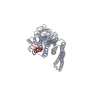 30610_7d7r_B_v1-3
Cryo-EM structure of the core domain of human ABCB6 transporter