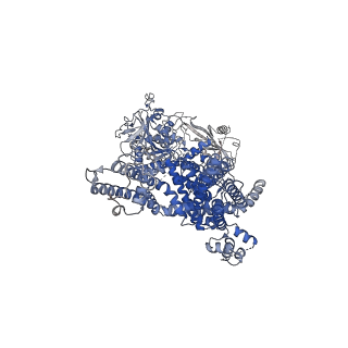 7822_6d73_A_v1-3
Cryo-EM structure of the zebrafish TRPM2 channel in the presence of Ca2+